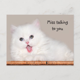 Carte Postale Le chaton perse blanc vous manque