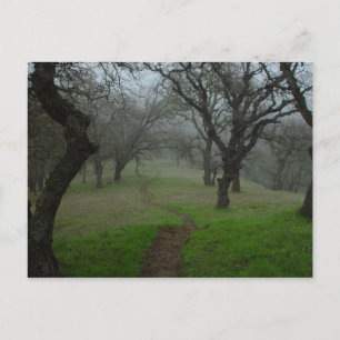 Carte Postale Le chemin