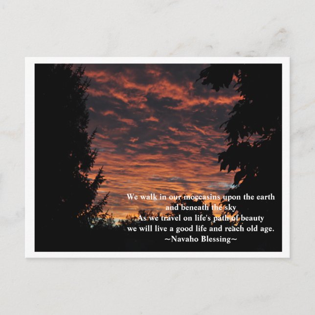 Carte Postale Le chemin de la beauté (Devant)