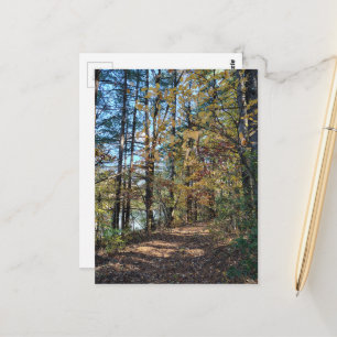Carte Postale Le chemin de la forêt d'automne