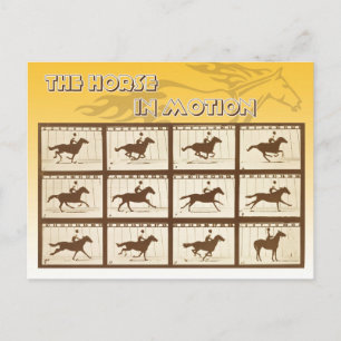 Carte Postale Le cheval en mouvement