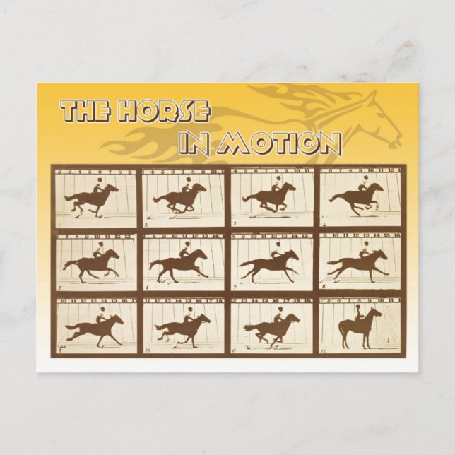 Carte Postale Le cheval en mouvement (Devant)