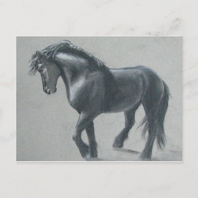 Carte Postale Le cheval sombre (Devant)