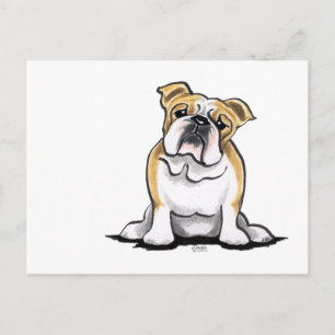 Carte Postale Le Chien À Balles Blanc Faune Assis Plutôt