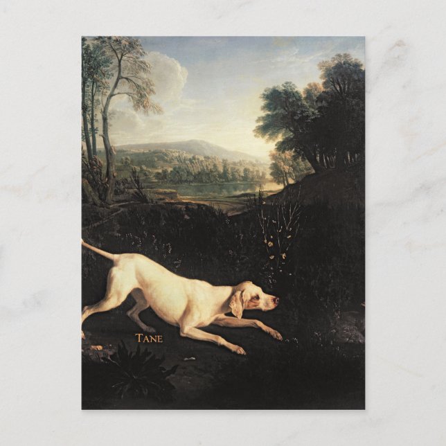 Carte Postale Le chien de Louis XIV, Tane (Devant)