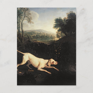 Carte Postale Le chien de Louis XIV, Tane