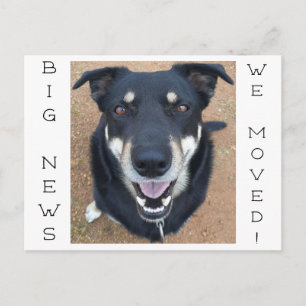 Carte Postale Le chien est parti HEUREUX !