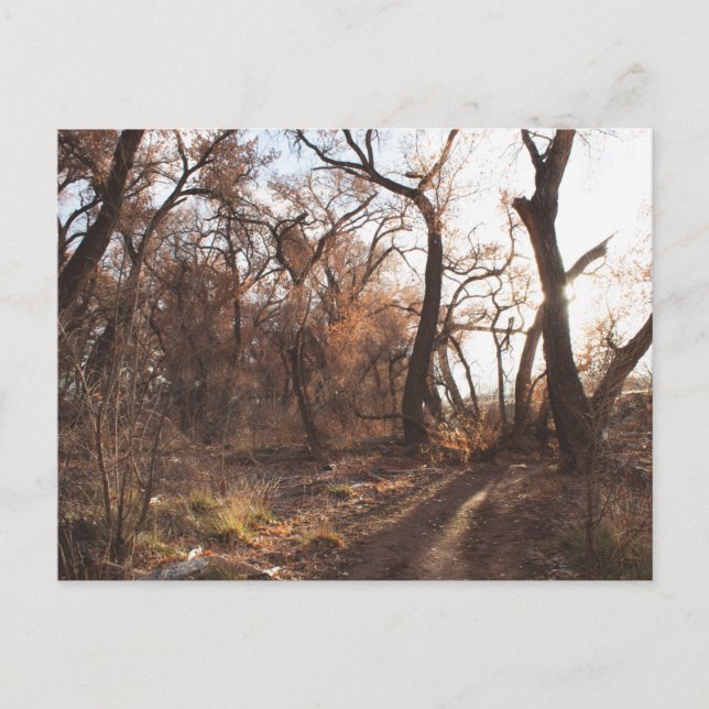 Carte Postale "Le choeur bosniaque" (Devant)