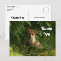 Le chou renard dans un Merci de forêt verte