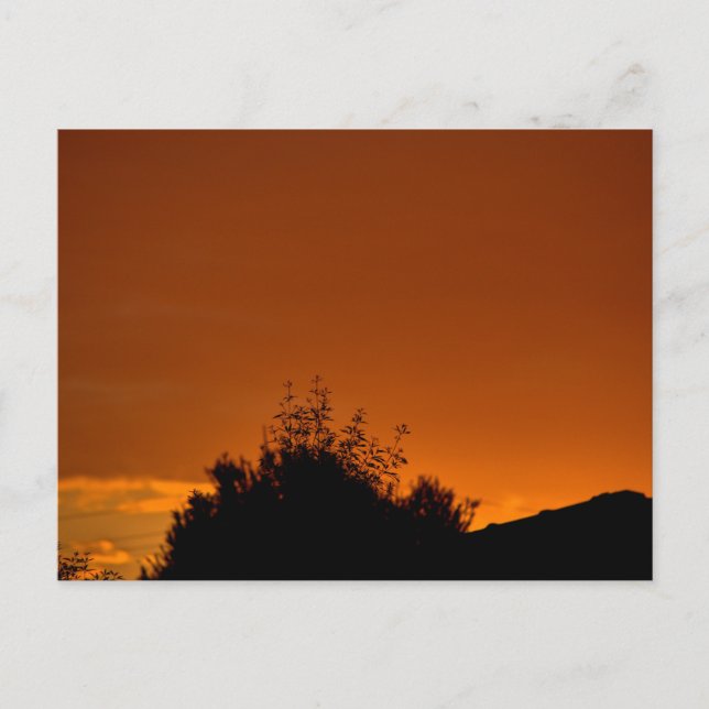 Carte Postale Le ciel orange (Devant)