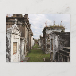 Carte Postale Le cimetière de Louisiane