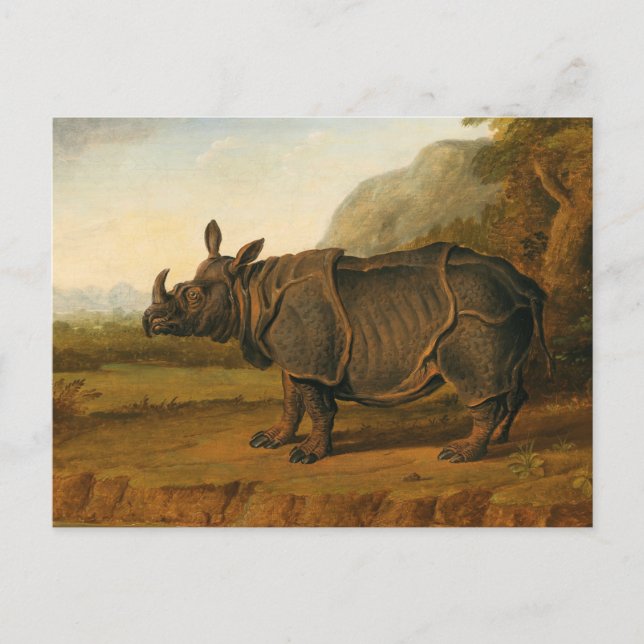 Carte Postale Le Clara des Rhinoceros par Jean-Baptiste Oudry (Devant)