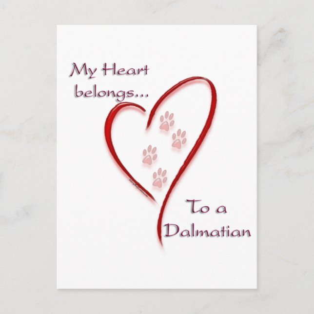 Carte Postale Le coeur dalmate appartient (Devant)