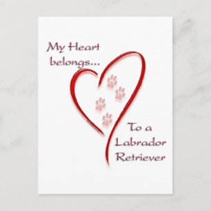 Carte Postale Le cœur du Labrador Retriever appartient