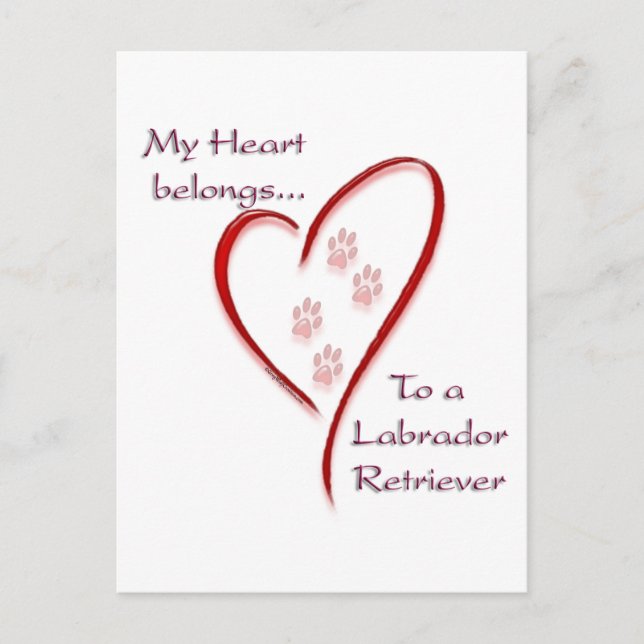 Carte Postale Le cœur du Labrador Retriever appartient (Devant)