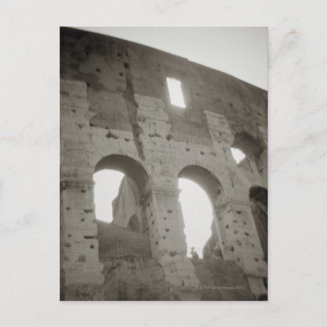 Carte Postale Le Colisée à Rome, Italie (Devant)