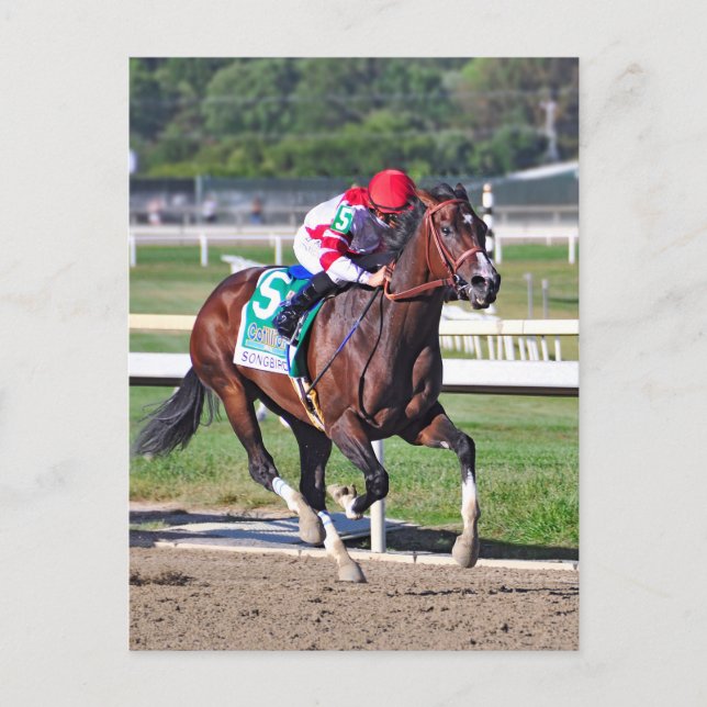 Carte Postale Le Cotillion 2016 (Devant)