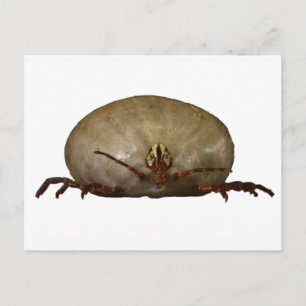 Carte Postale Le coup