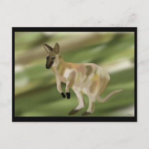 Carte Postale Le coup de pied Wallaby