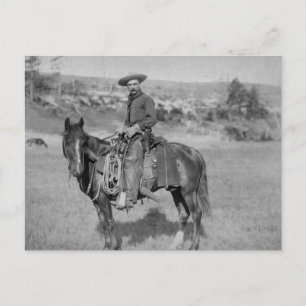 Carte Postale Le cowboy