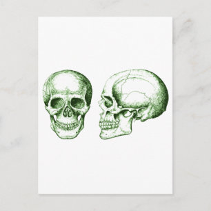 Carte Postale Le crâne
