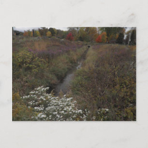 Carte Postale Le Creek