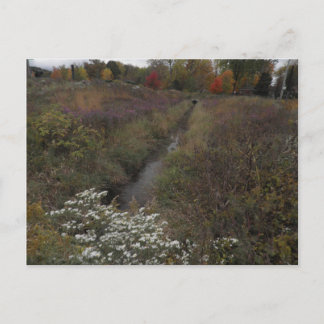 Carte Postale Le Creek