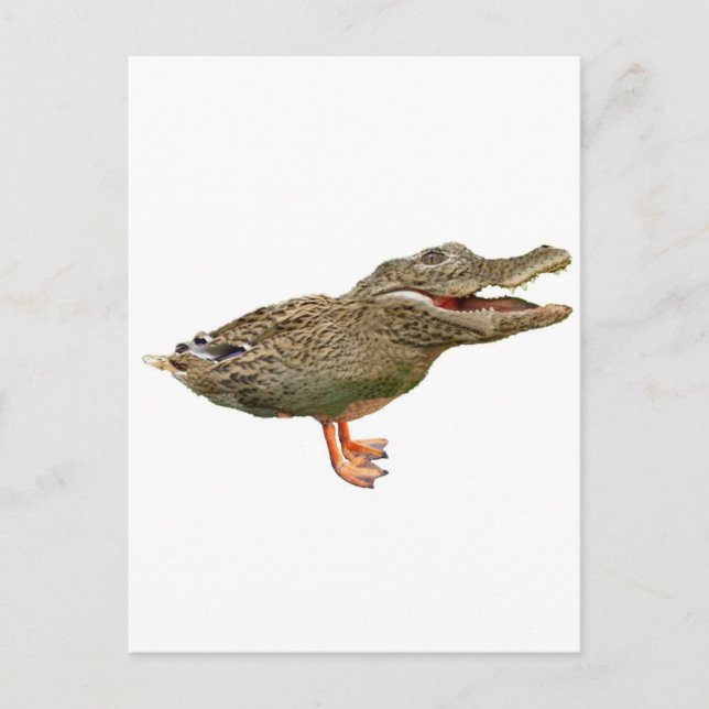 Carte Postale Le Crocoduck aux pieds (Devant)