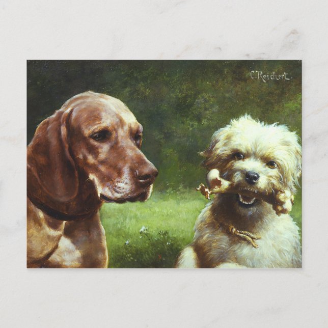 Carte Postale Le cynique et le philosophe (Devant)