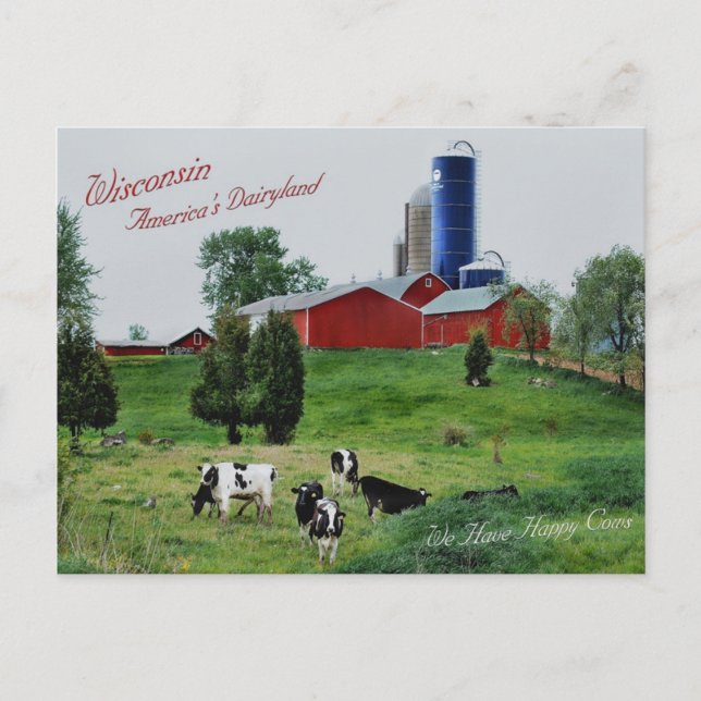 Carte Postale Le Dairyland américain (Devant)