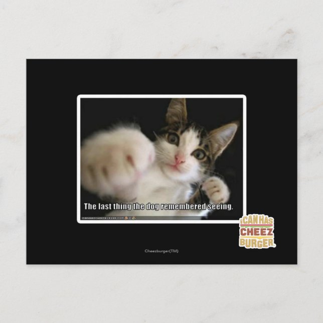 Carte Postale Le dernier (Devant)