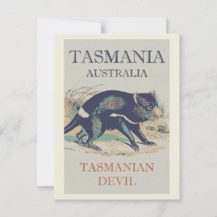 Carte Postale Le diable de Tasmanie, animal emblématique Tasmani