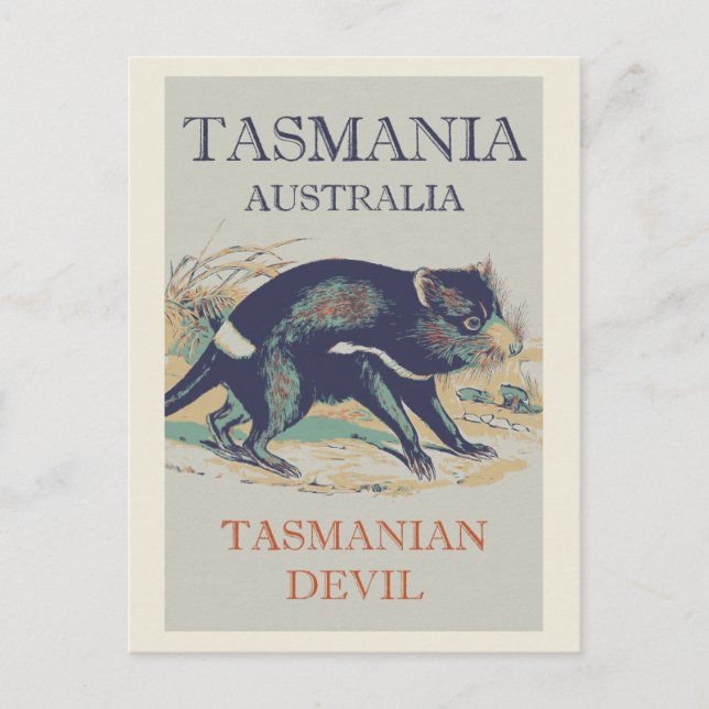 Carte Postale Le diable de Tasmanie, animal emblématique Tasmani (Devant)