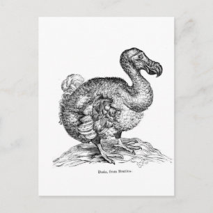 Carte Postale Le Dodo
