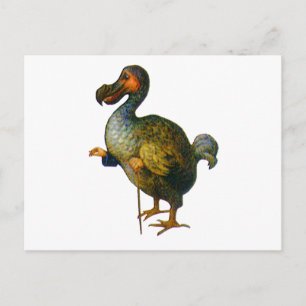 Carte Postale Le Dodo Bird