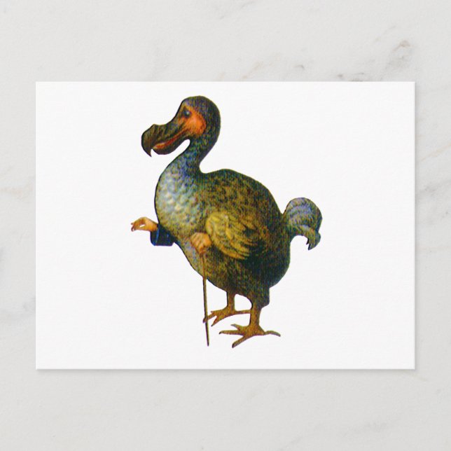 Carte Postale Le Dodo Bird (Devant)
