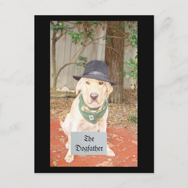 Carte Postale Le Dogpère (Devant)