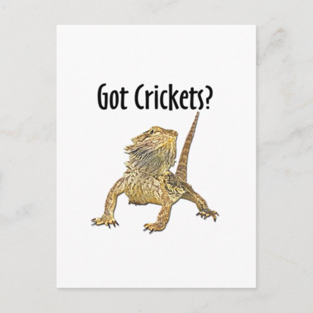 Carte Postale Le Dragon Arpenté A Obtenu Des Crickets (Devant)