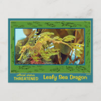 Le dragon de mer verdoyant est en danger.