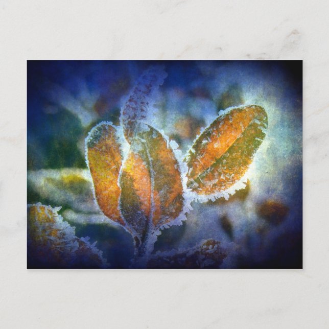 Carte Postale Le froid hivernal (Devant)