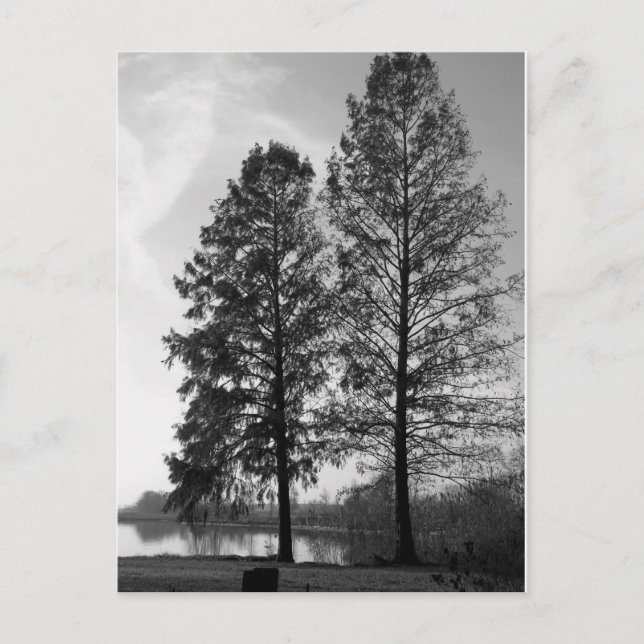 Carte Postale Le front de mer du Maryland de Vienne (Devant)