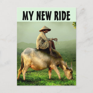 CARTE POSTALE LE GAZ EST SI CHER FUNNY MAN RIDING VW POSTCARD