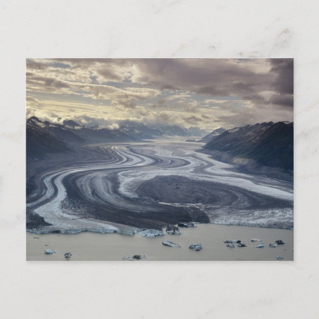 Carte Postale Le glacier Lowell se jette dans la rivière Alsek à (Devant)