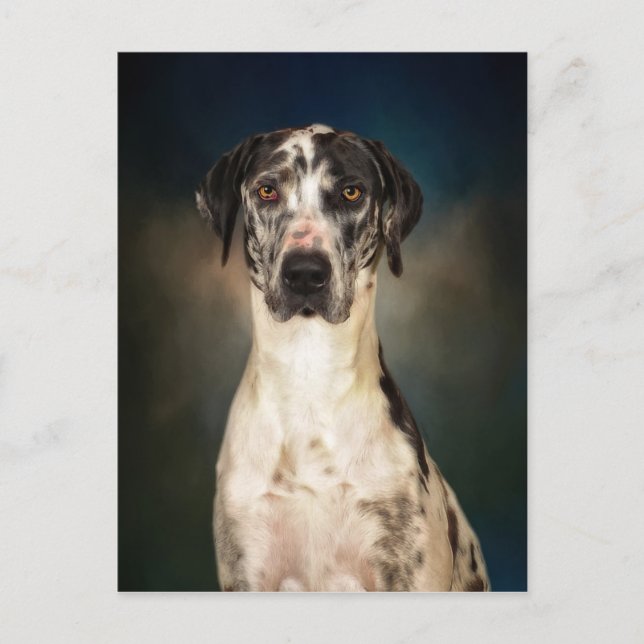 Carte Postale Le Grand Danois (Devant)