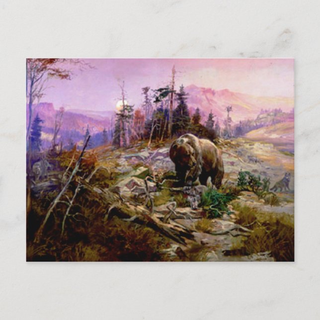 Carte Postale Le Grizzly (Devant)