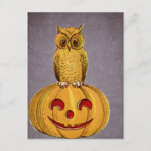 Carte Postale Le hibou et la Jack-o'-lantern