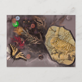 Carte Postale le hibou et le papillon