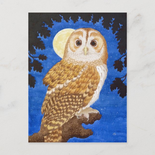 Carte Postale Le hibou fauve (Devant)