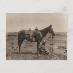 Carte Postale Le Horse Wrangler 1910