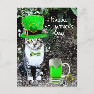 CARTE POSTALE LE JOUR DE SAINT PATRICK CAT WITH GREEN IRISH